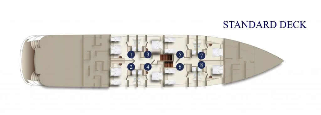 MS-AMBASSADOR-STANDARD-DECK